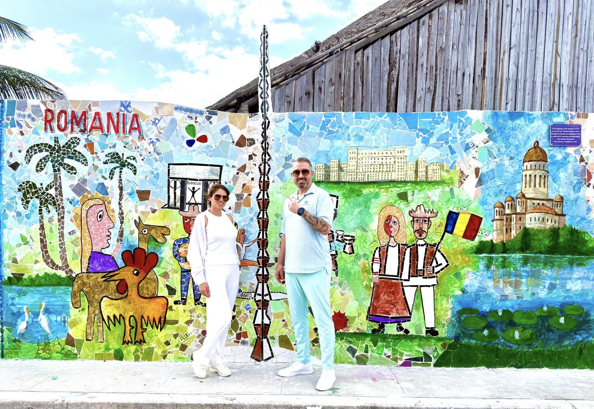 Scandalul avocatei liberale Adriana Georgescu. Dragoș Sprînceană, emisarul special PSD în SUA, apelat pentru a ajunge la ministrul Transporturilor