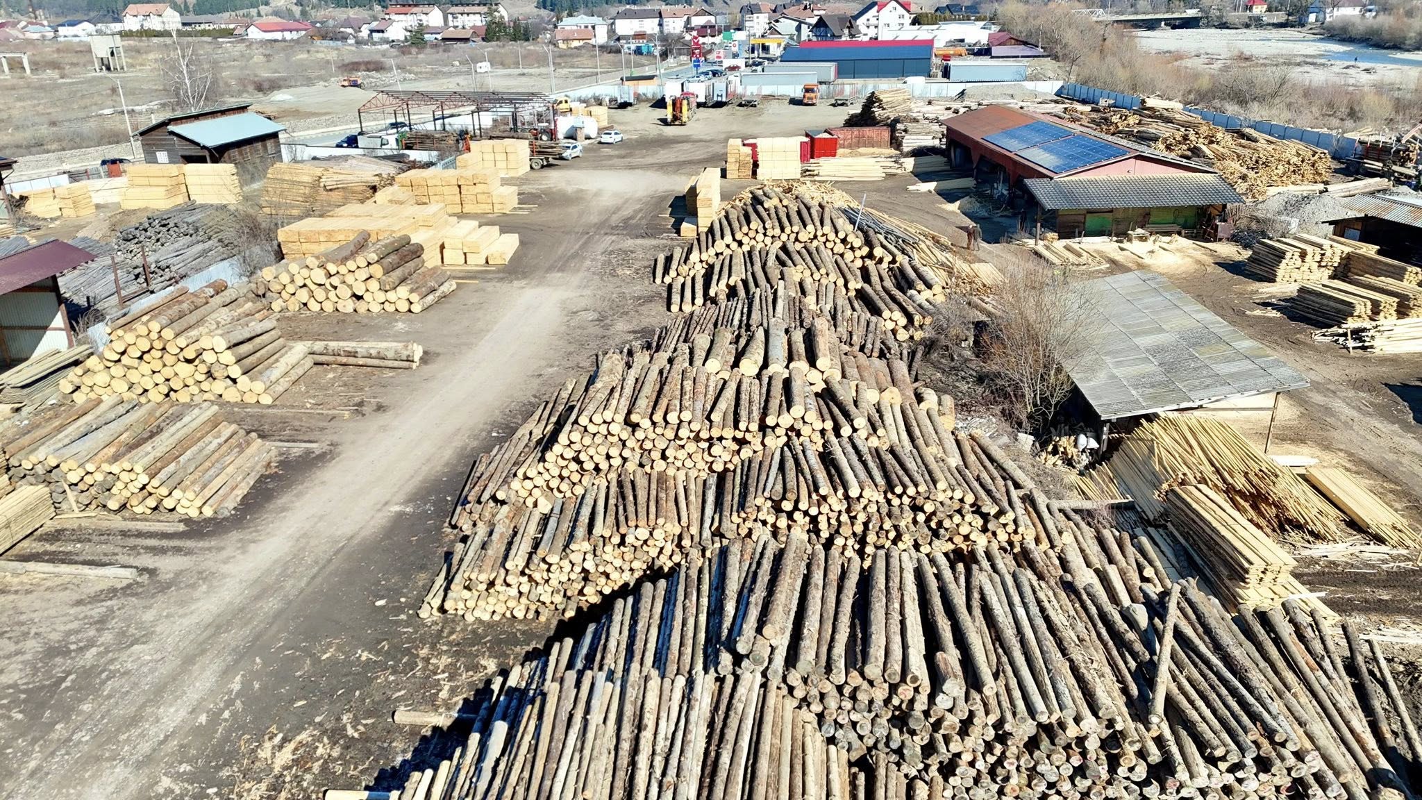 3500 de metri cubi de lemn fără acte au fost găsiți în depozitul lui Vasile Luchian, patronul unei pensiuni din Vama. Foto: Daniel Bodnar, Facebook