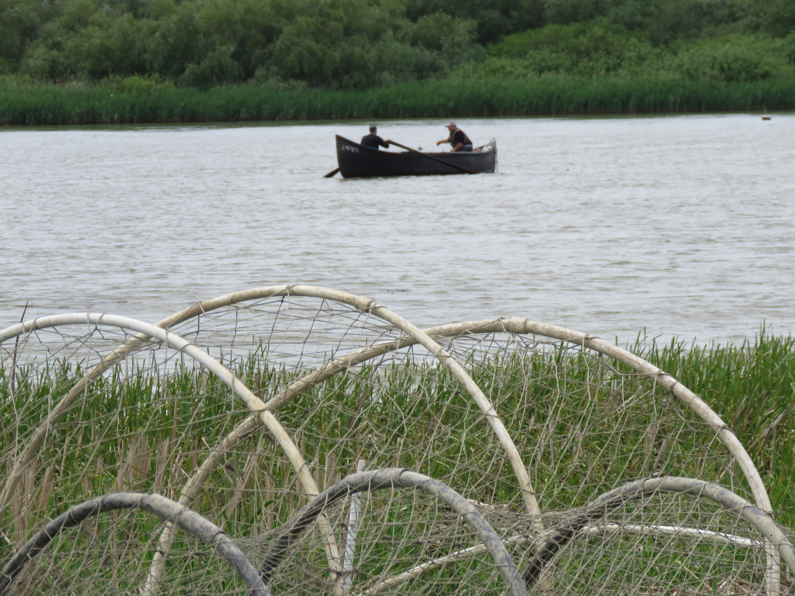 Neregulile descoperite de Corpul de Control au dus la demiterea guvernatorului Deltei Dunării. Cine este noul șef al Rezervației