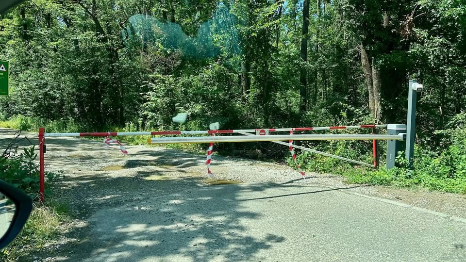 Un notar din București, judecat într-un dosar legat de un teren de 10 hectare din Pădurea Băneasa